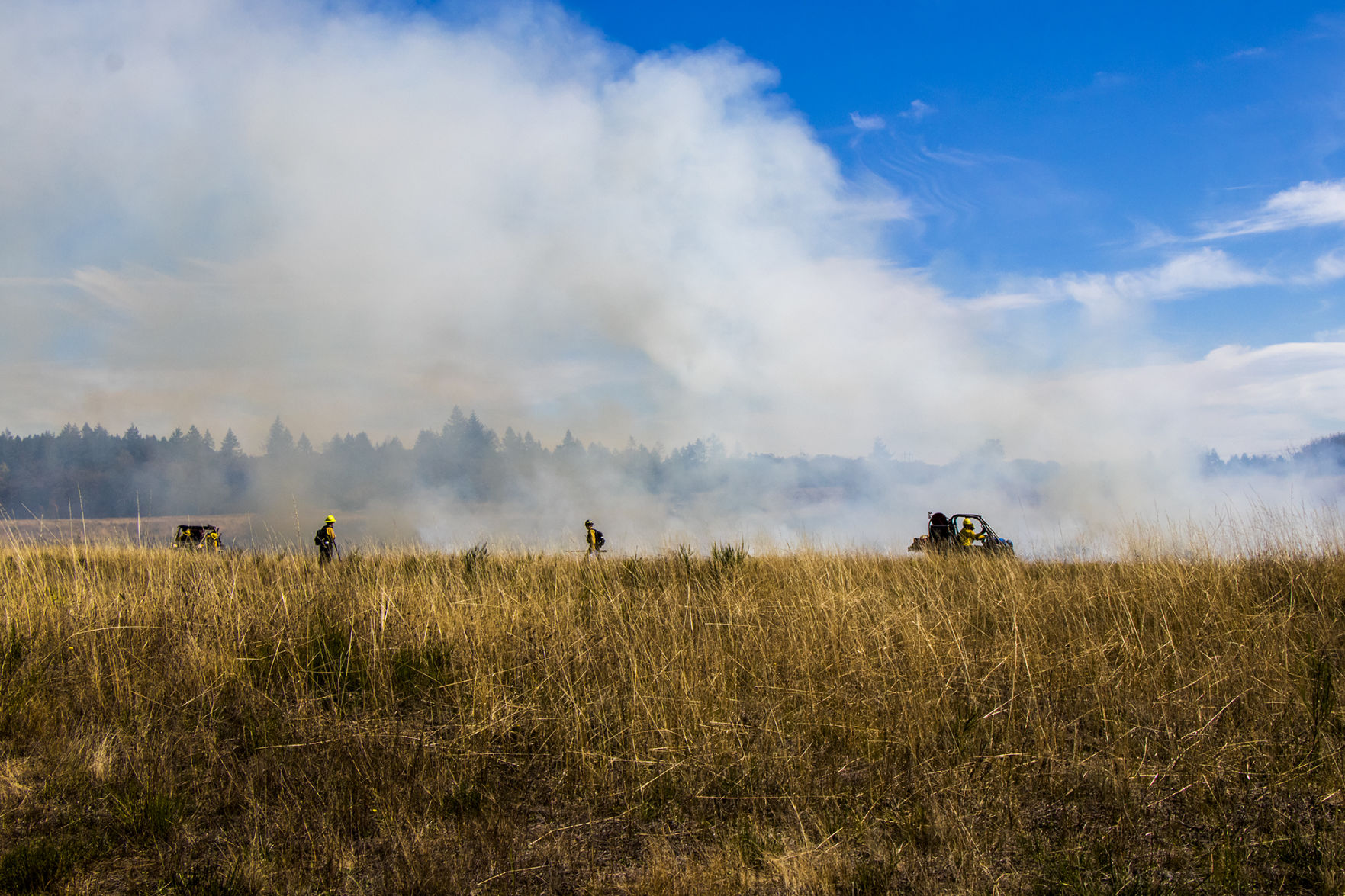 Prescribed Burns Ignite Across Western Washington